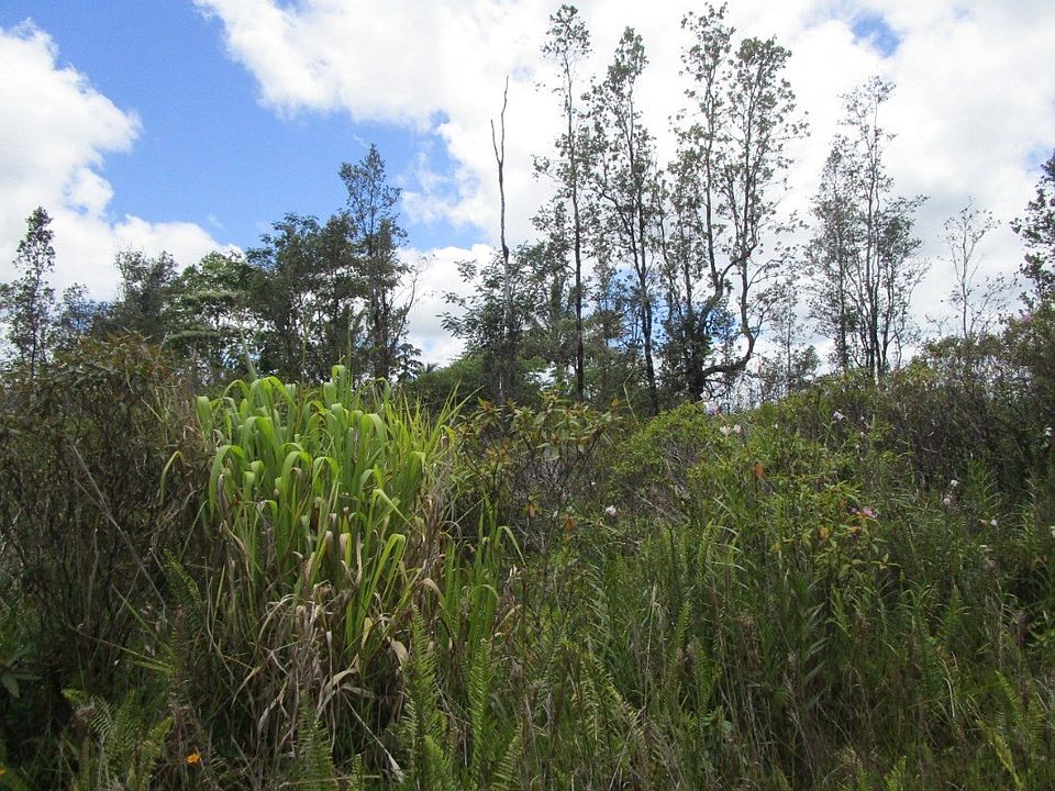1st image of Silversword Dr Lot 18