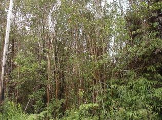 LOT 58 Lot 58, Volcano, HI 96785