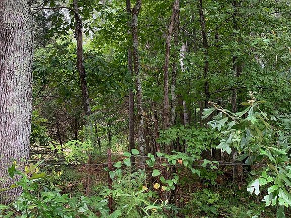 2nd image of 79 Honeysuckle Dr