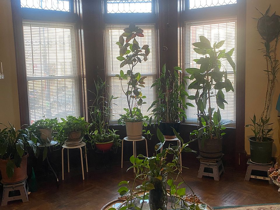 2nd image of 282 Lefferts Ave #1