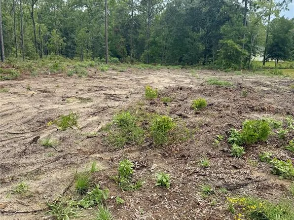 NE 151st Ter, Williston, FL 32696