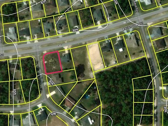 4th image of LOT 29 MARION OAKS TRAIL LOT 29