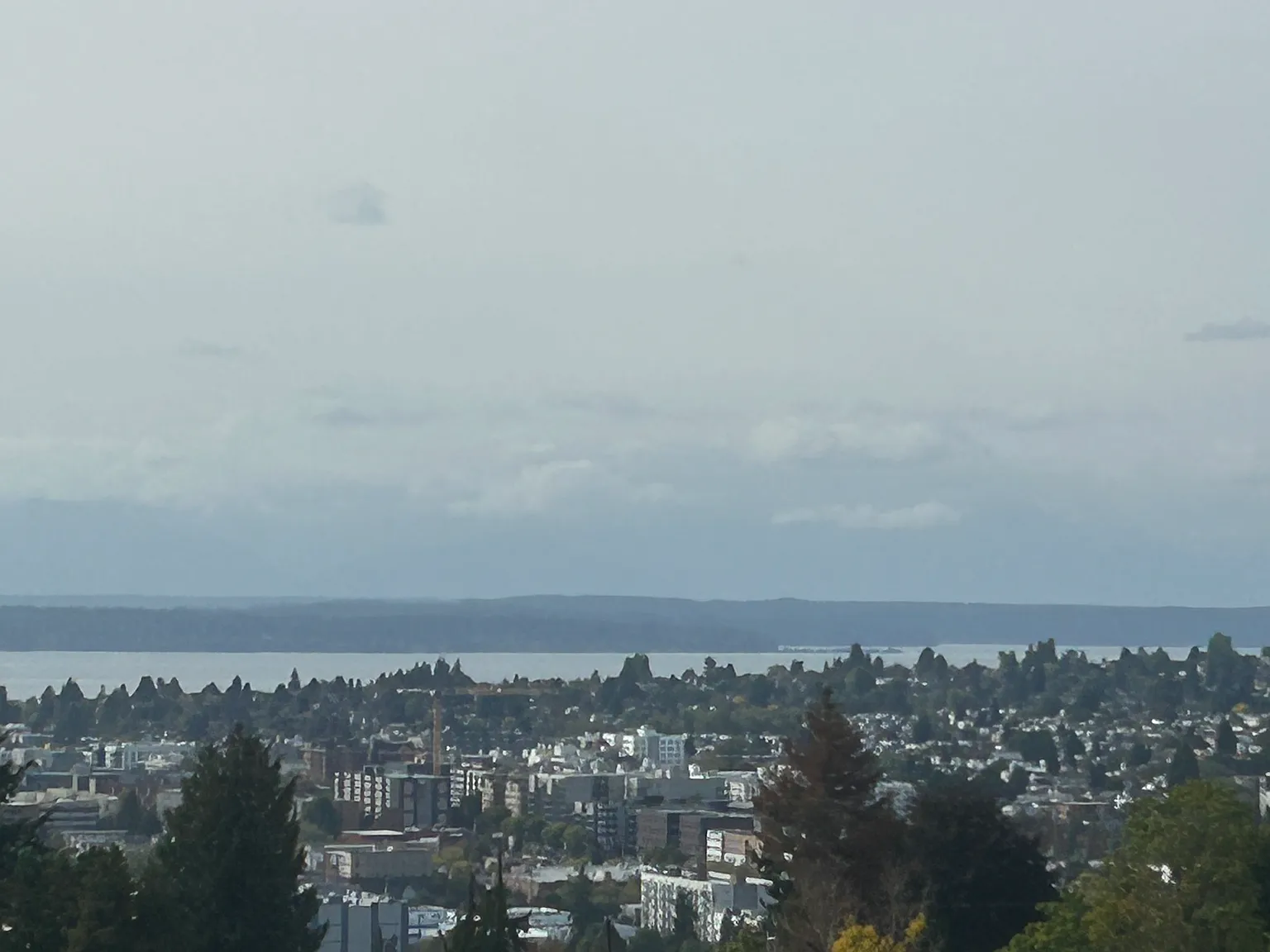3 bed, 1.5 bath, 1510 sqft, $4,100 — Photo 2