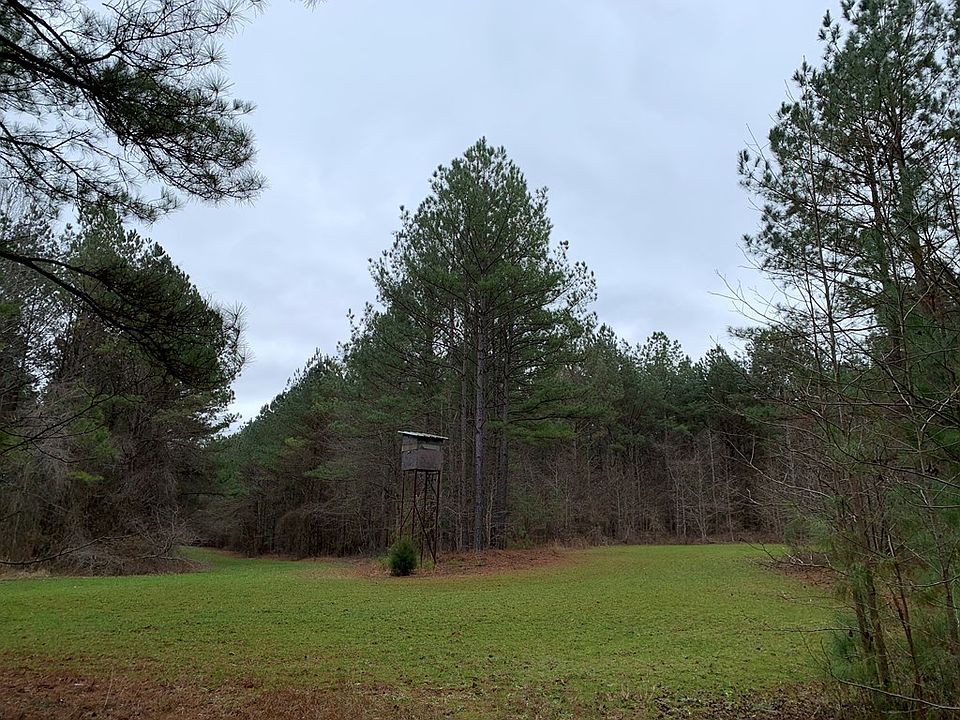 2nd image of Mount Pilgrim Rd