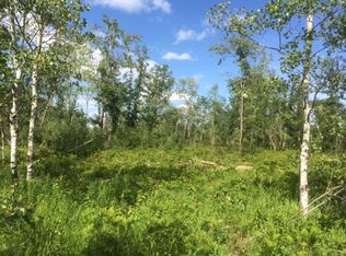 Tbd Monroe Ave SW, Bemidji, MN 56601