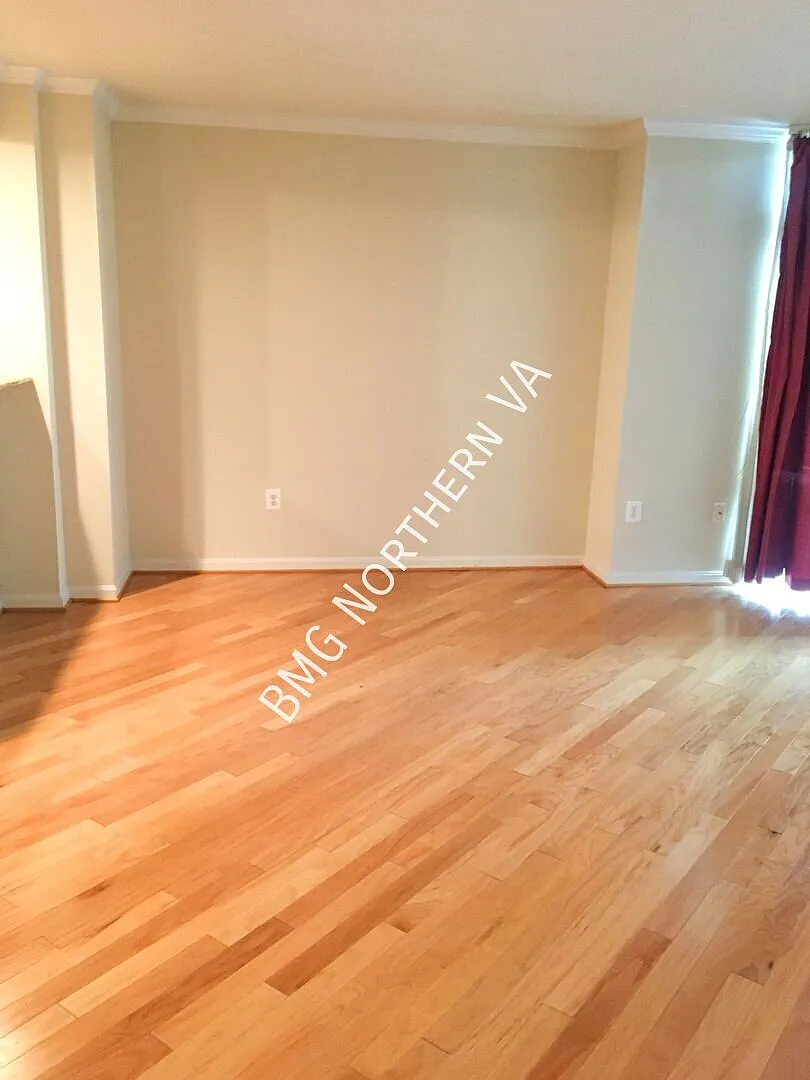 Beautiful Studio Unit At Northampton With Updates Galore In Northampton Place- Water Included — Photo 3