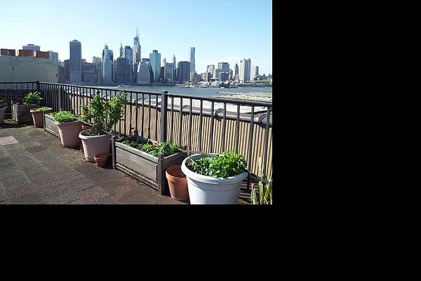 Rented by Corcoran | media 15