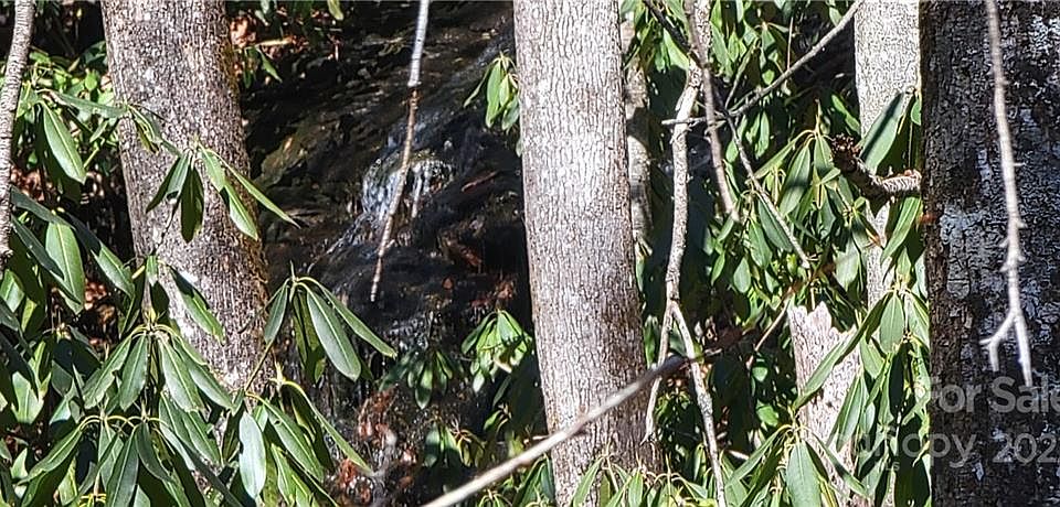 2nd image of 91 Black Oak Dr