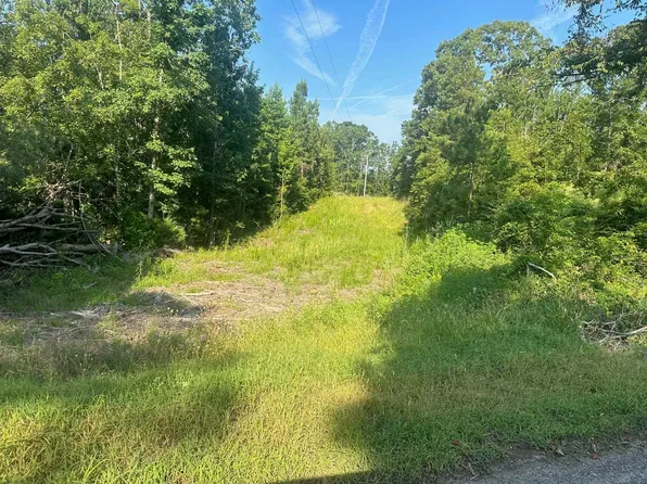 1208 King Rd, Selmer, TN 38375