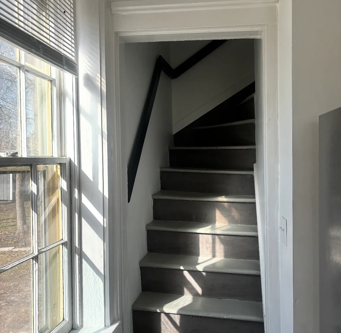 1 bed, 550 sqft, $995 — Photo 4