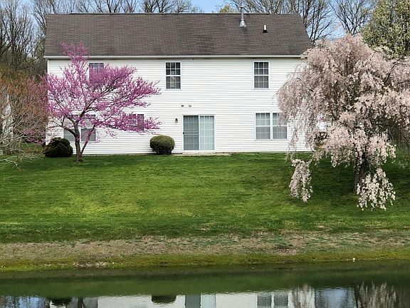 Back Pond View (Spring) 2