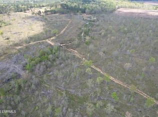 0 Hayes Nute Rd, Waynesboro, MS 39367