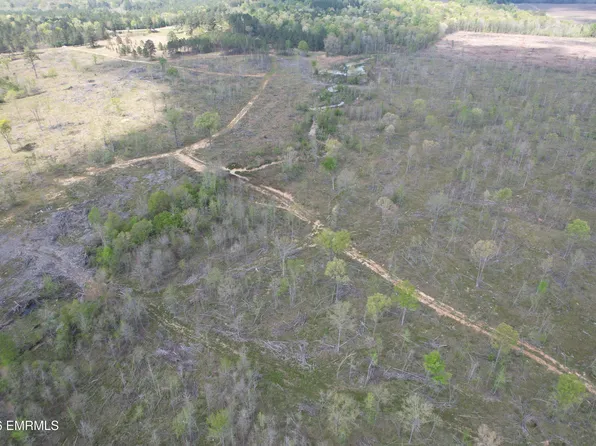 0 Hayes Nute Rd, Waynesboro, MS 39367