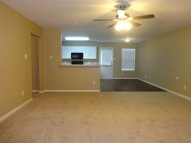 4530 Nueces River Loop — Photo 6
