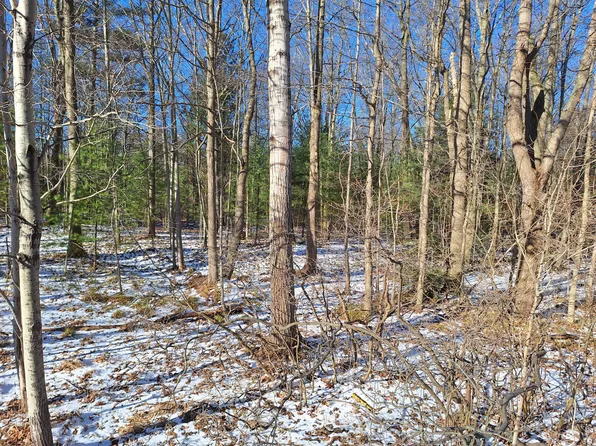 V/l N Jebavy Dr, Ludington, MI 49431