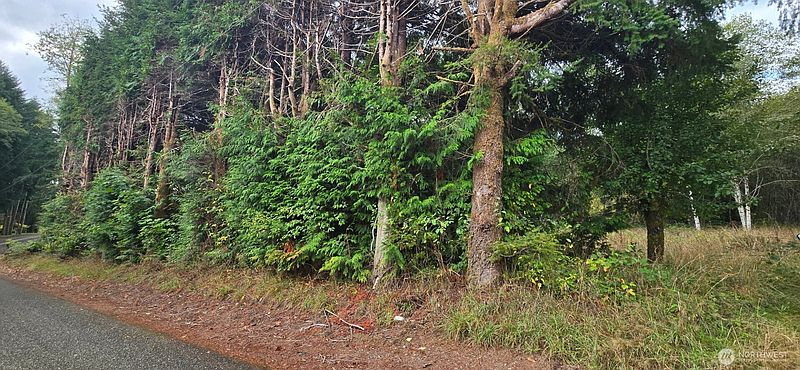 4th image of 1351 Satsop Road W