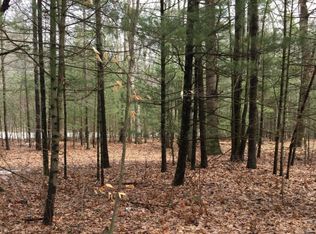 5 W Fox Rd, Mears, MI 49436