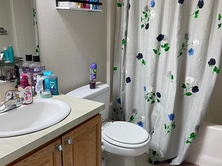 Another upstairs restroom with shower