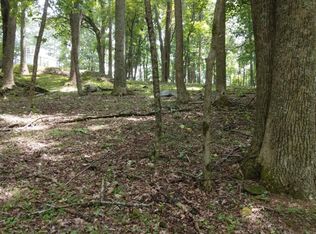 M213 Walnut Rdg, Ellijay, GA 30536