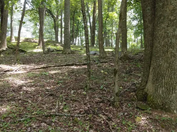 M213 Walnut Rdg, Ellijay, GA 30536