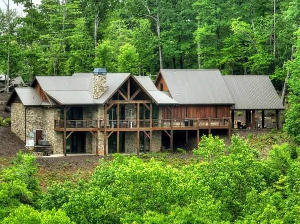 258 Forest Ridge Dr, Cherry Log, GA 30522