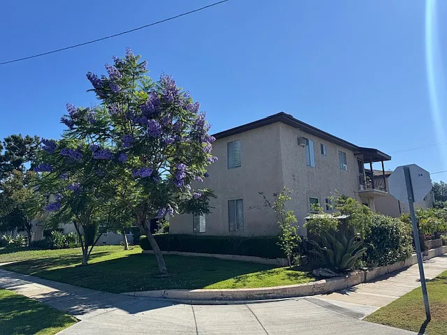 1500 N Buena Vista St #B — Photo 30