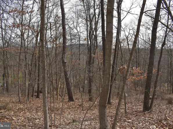 Tdb Mulberry Ln, Mount Jackson, VA 22842