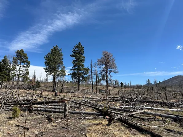 LOT 1039 Forbes Rd, Fort Garland, CO 81133