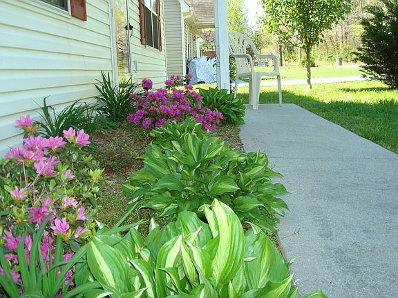 plants along the front entrance