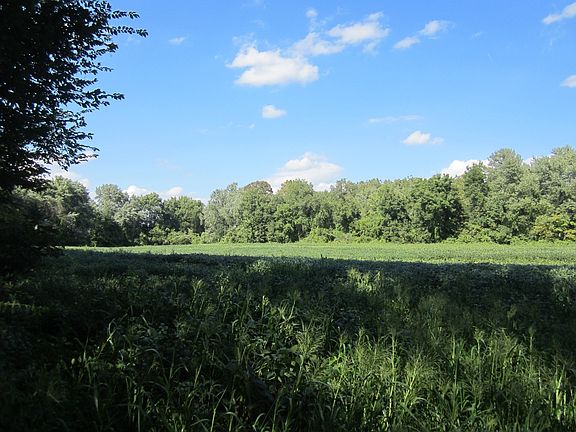5th image of 0 Little River Rd