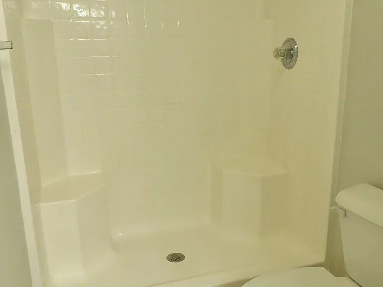 Primary Bath Shower