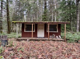 57011 387th Avenue Ct E, Ashford, WA