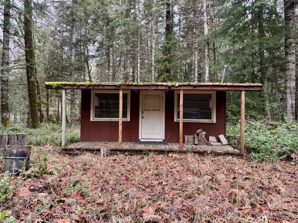 57011 387th Avenue Ct E, Ashford, WA 98304