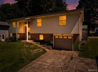 1307 E Chestnut St, Desloge, MO 63601
