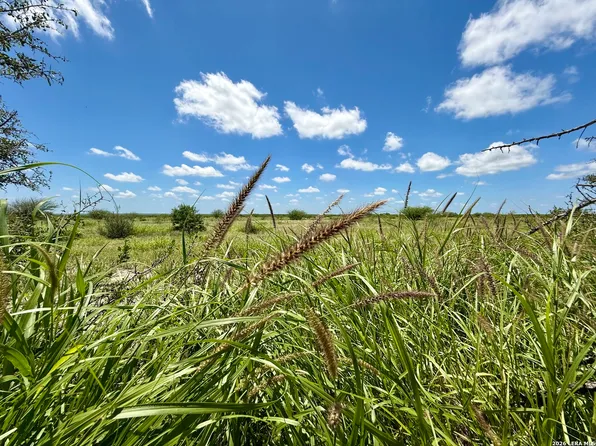 0 CR 235, Three Rivers, TX 78071