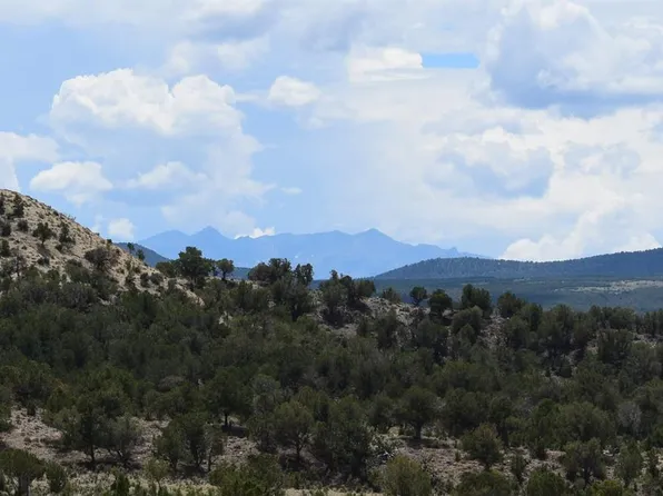 Tract 2 Buckhorn Road, Montrose, CO 81403