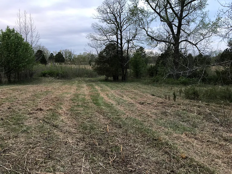 940 County Road 534 — Photo 16