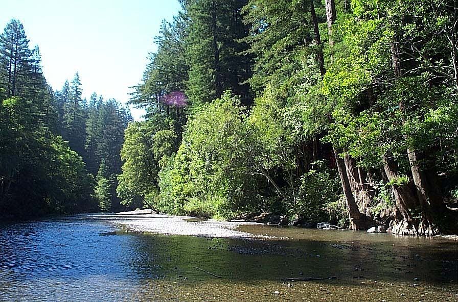 Austin Creek from the cabin