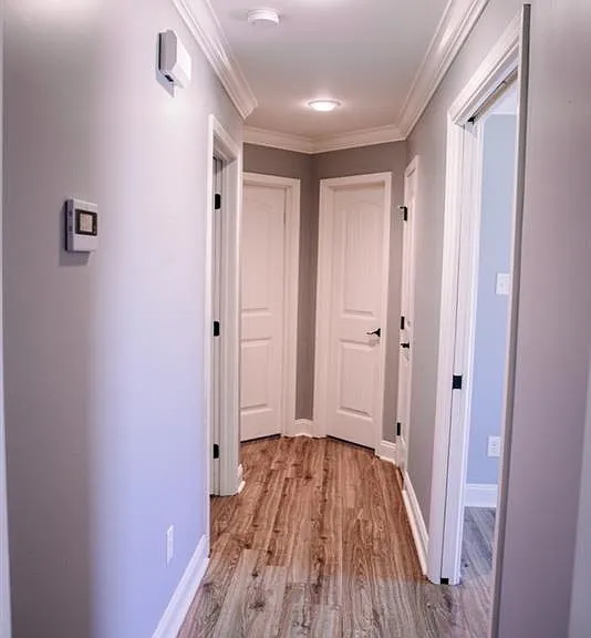 222 Bald Eagle Dr — Photo 6