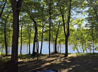 4781 Teaberry Ln, Farwell, MI 48622