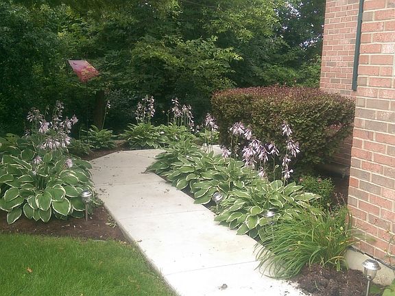 3rd image of 217 Trentt Dr