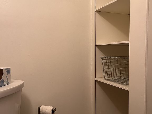 Bathroom storage