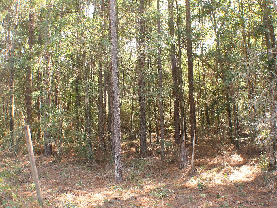 1st image of 1 Thirteen Ac B Hwy W #90