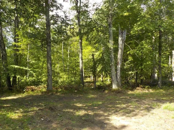 28524 Palmborg Drive, Danbury, WI 54830