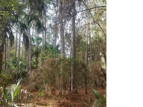 10797 W Watergate Ln, Crystal River, FL 34428
