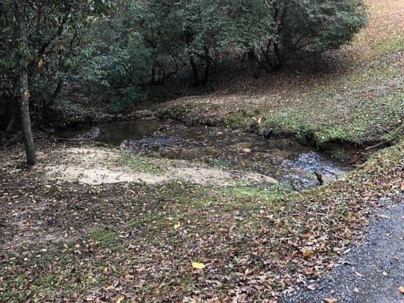 5th image of 183 Wilderness Ln