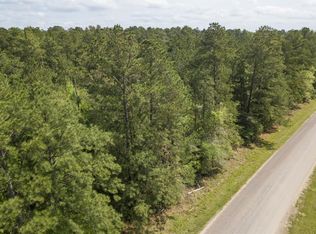 2224 Mangum Rd, Livingston, TX 77351