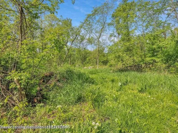 2935 Stillson Rd, Stockbridge, MI 49285