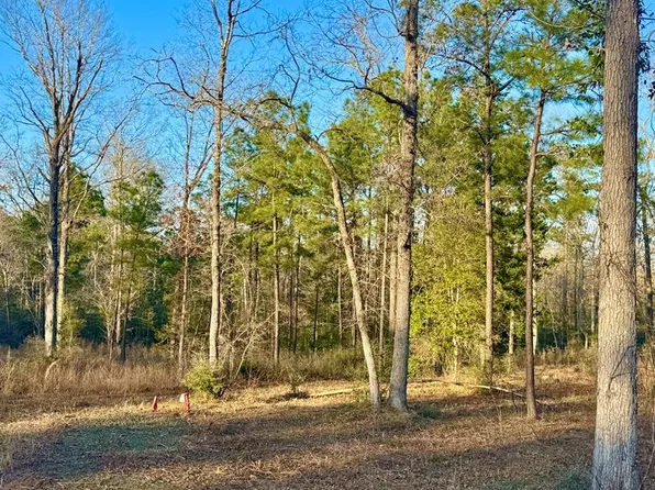2165 Dorsey Rd, Hemphill, TX 75948