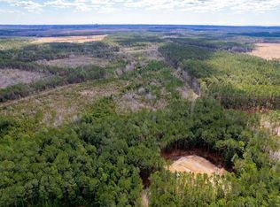 TBD Highway 905, Conway, SC 29526